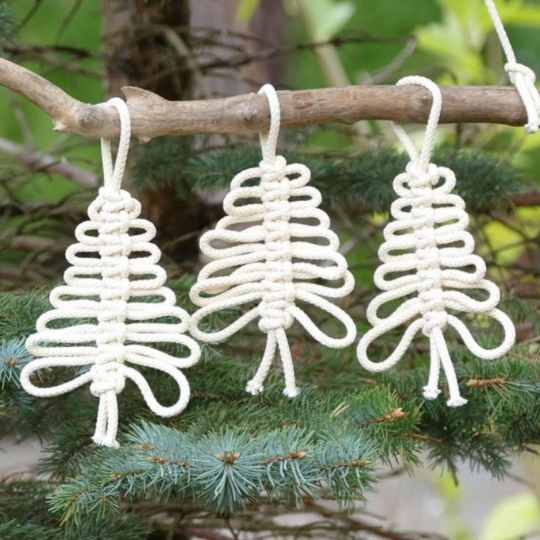 73_9282_08Nov2023145150_Macrame workshop 540px.png